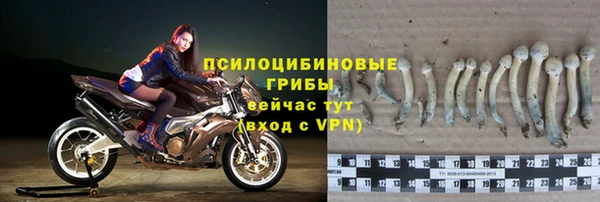 эйфоретик Лихославль