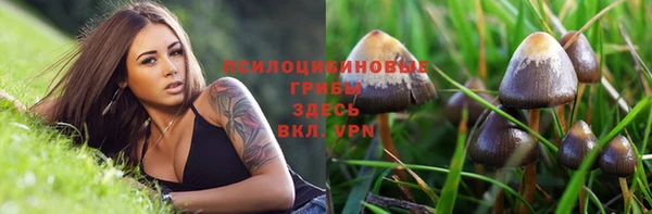 эйфоретик Лихославль
