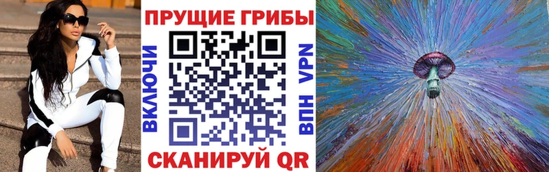 купить наркотик  Сычёвка  Псилоцибиновые грибы прущие грибы 